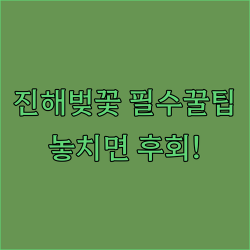 image 2bcccb0f