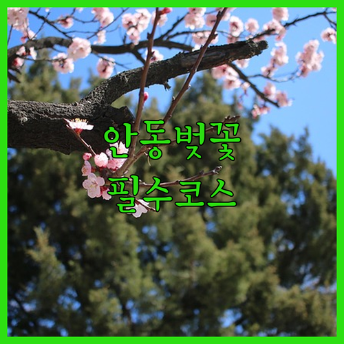 image 2dde5dbc