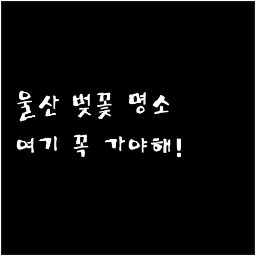 image 3e60582b