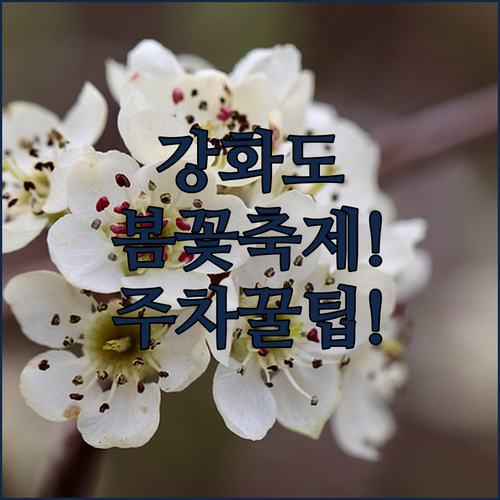 image e603a334
